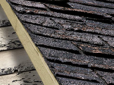 3C Roofing Company Images